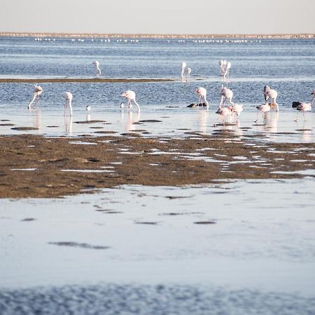 Flamingo Villas Boutique Hotel Walvis Bay Eksteriør billede