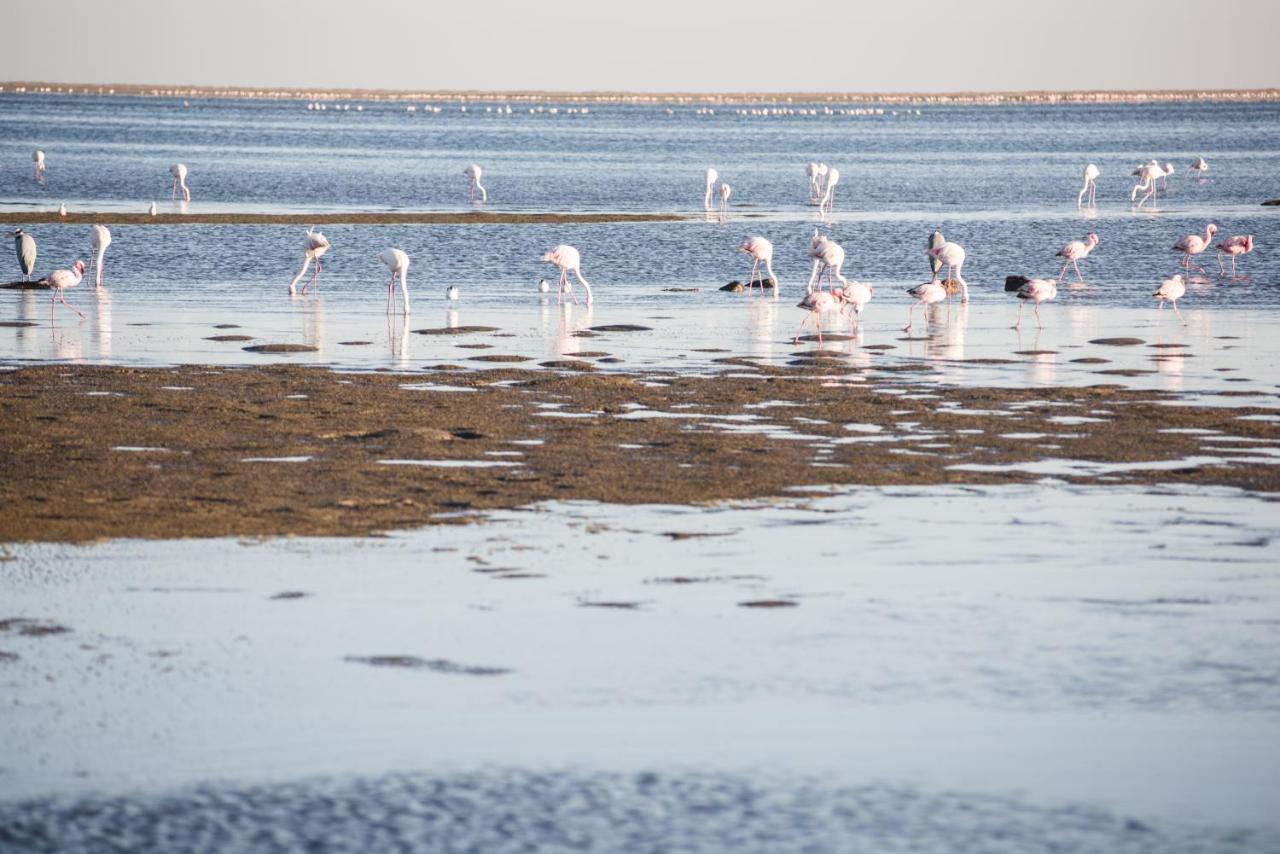 Flamingo Villas Boutique Hotel Walvis Bay Eksteriør billede